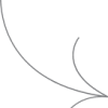 vector-6684e1fbc6b8f.webp